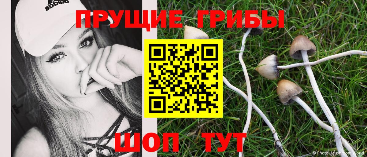 Псилоцибиновые грибы ЛСД  Екатеринбург  Псилоцибиновые грибы MAGIC MUSHROOMS 