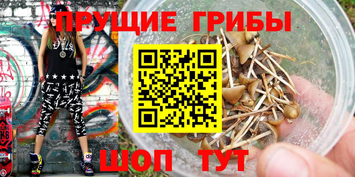 Псилоцибиновые грибы GOLDEN TEACHER Екатеринбург