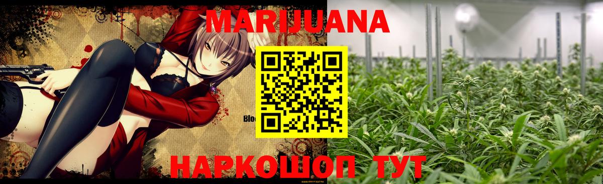 Каннабис семена  Екатеринбург  МАРИХУАНА семена  Бошки марихуана индика 